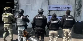 Realizan cateos en la Central de Abastos de Querétaro, hay cinco detenidos