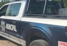 Resguardan a dos menores víctimas de abuso sexual, tras reporte de riña