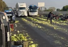 Volcadura de camioneta de carga afecta la circulación en la México-Querétaro