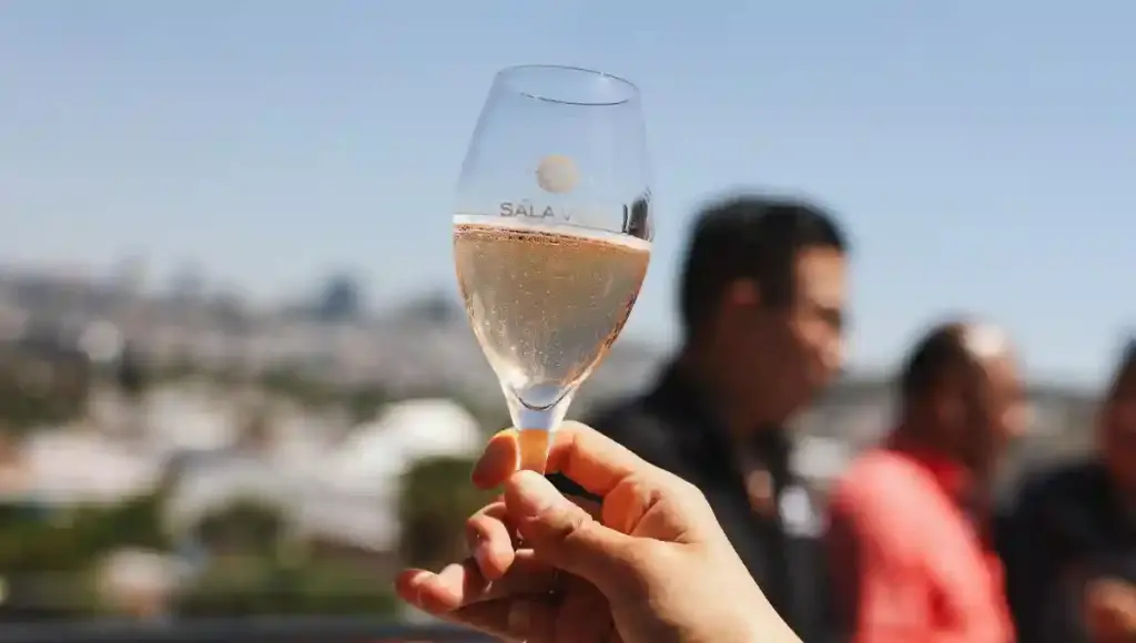 Del 7 al 24 de mayo, el corazón del Pueblo Mágico se llenará de tradición, arte y lo mejor del vino de México y el mundo, con acceso gratuito para todos los públicos.