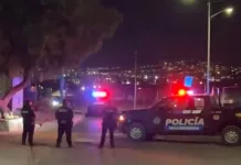 Pelea de gallos “clandestina” deja al menos cuatro muertos en Corregidora