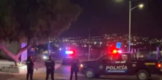 Pelea de gallos “clandestina” deja al menos cuatro muertos en Corregidora