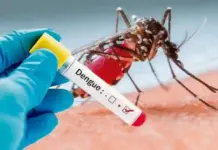 Monitorea SESA situación epidemiológica del dengue en la entidad