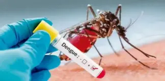 Monitorea SESA situación epidemiológica del dengue en la entidad