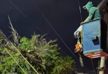 Gobierno Municipal atiende reportes derivados de la lluvia de este martes