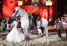“Mexicanísimo” conquista el público en el Festival Internacional del Arte, Queso y Vino 2026