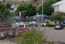 Ataque masivo de abejas en la Maquío deja tres hospitalizados
