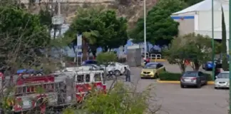 Ataque masivo de abejas en la Maquío deja tres hospitalizados