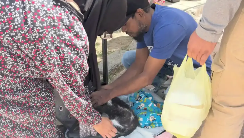 Se realizó una nueva campaña de esterilización masiva gratuita en beneficio de la ciudadanía y la fauna local.