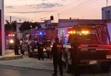 Hermanos terminan arrestados tras riña a machetazos por herencia