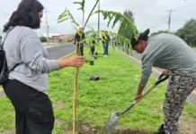 Ciudadanía, empresas y Gobierno Municipal reforestan camellón frente al Centro Expositor