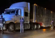 Detienen a dos personas por robo de ganado en SJR