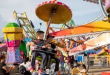 Exitoso primer día de acceso gratuito al Centro Expositor de Feria
