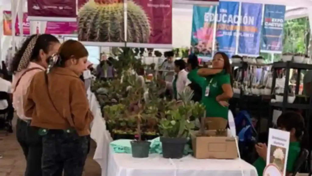 Durante tres días, los asistentes podrán disfrutar de una amplia exposición y venta de cactus y suculentas