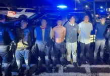 ¡Sometidos! Policías acorralan y atrapan a seis presuntos delincuentes en SJR