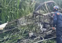 ¡Se desploma! Cae avioneta fumigadora; el piloto sobrevive de milagro