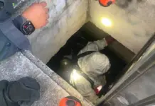 Falsa alarma: Confunden restos de perro con cuerpo humano en cisterna