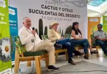 Tequisquiapan florece con la quinta edicion de la Expo Cactus y otras Suculentas 2026