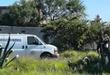 Hallan a hombre sin vida suspendido de un árbol en Las Águilas