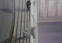 Evitan tragedia: Policías y Unidad de Víctimas salvan a hombre en puente de Paseo Central