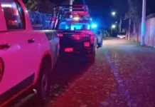 Festejo termina en tragedia: Menor de edad fallece al ser golpeado por estructura