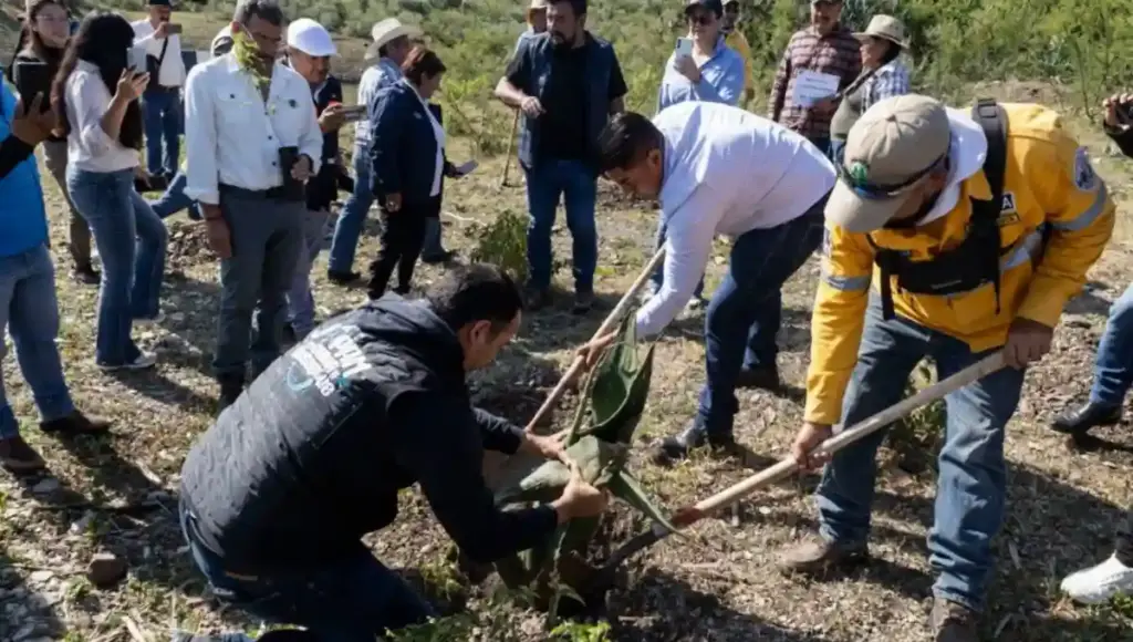 A través del programa Raíces del Agua se trabaja este año con 11 ejidos y se destinan más de 10 millones de pesos a acciones para favorecer la recarga del acuífero.