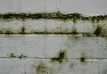Cómo proteger tu casa de goteras en Querétaro