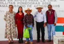 Fortalecen en Pedro Escobedo economía familiar con entrega de pollitas ponedoras