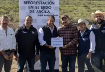 Realizan acciones de reforestación para recarga del acuífero en el Ejido Arcila