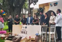 San Juan del Río realizará 2do Festival del Mole
