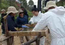 Localizan mil 600 dientes de leche en fosa clandestina de Michoacán