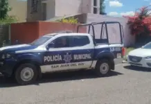 Al menos siete perros atacan a una menor en La Rueda, San Juan del Río