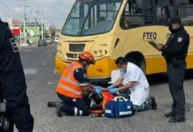 Motociclista herido tras impactarse contra camión de transporte público