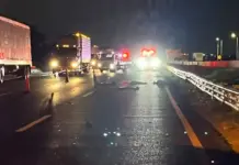 Fallece al ser atropellado en la carretera federal 57, conductor se da a la fuga