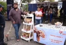 Realizan Adopta Fest 2026 en San Juan del Río